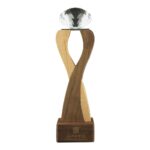 AT-8014 Wooden Trophy with Diamond shape Crystal on Top