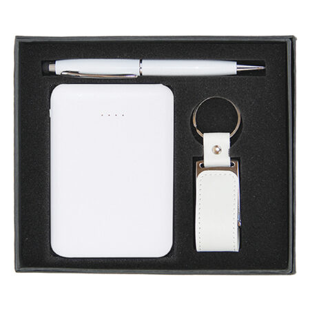 CG-86100 PROMOTIONAL GIFT SETS