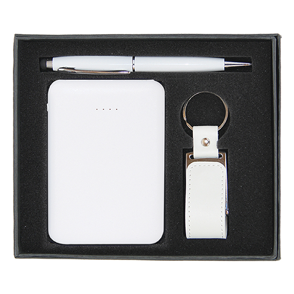 CG-86100 PROMOTIONAL GIFT SETS
