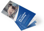 Flyer DL SIZE