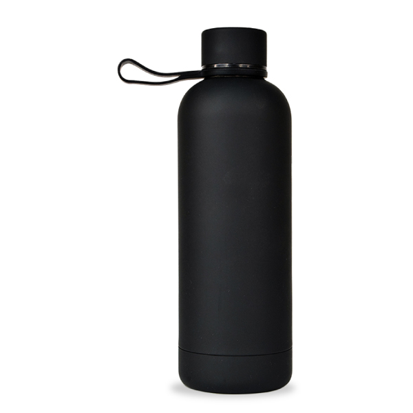 DW-7672 STAINLESS STEEL WATER BOTTLE WITH HANDEL