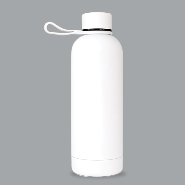 DW-7672 STAINLESS STEEL WATER BOTTLE WITH HANDEL