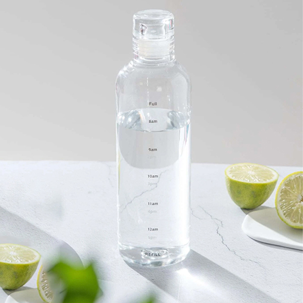 DW-7675 TRANSPARENT BOROSILICATE WATER BOTTLE