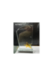 AT-8081 - STAR CRYSTAL AWARD