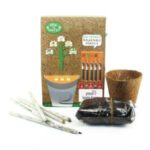 GN-1081 - Plant A Pencil Kit