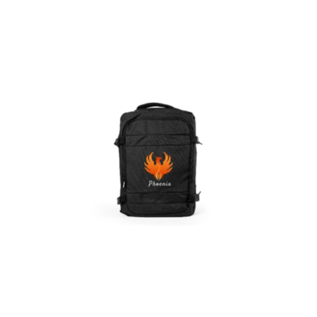 BG-9046- Travel Backpacks in Black Polyester Material