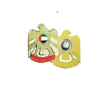 SG-7052 - FLAT UAE FALCON METAL BADGE WITH MAGNET ATTACHMENT