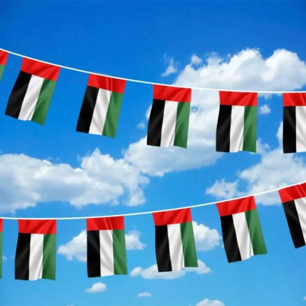 SG-7056 - UAE String Flags and Flag Bunting 32Pcs