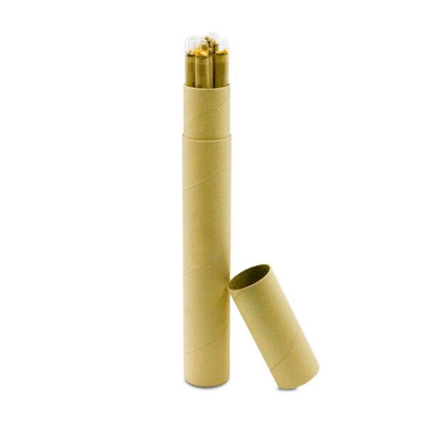 ST-9575 - Eco Friendly Pencil set With Seeds