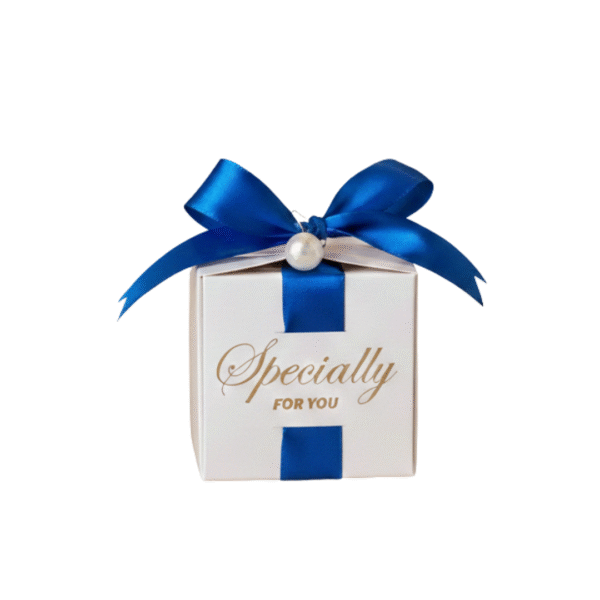 RH1011 Ramadan Joy Chota Box